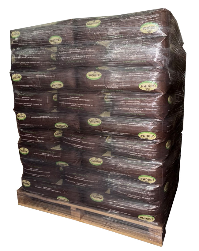 Roasted Carob (powder from carob tree pods), Algeria