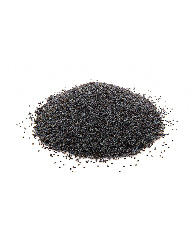 Blue poppy seeds, Czech Republic