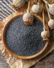Blue poppy seeds, Czech Republic