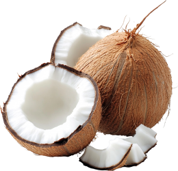 COCONUT SHAVINGS